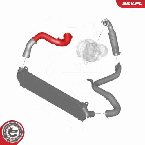 ESEN SKV Ladeluftschlauch