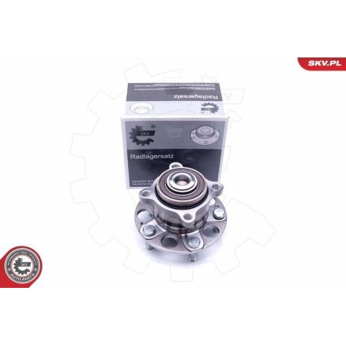 ESEN SKV Radlagersatz