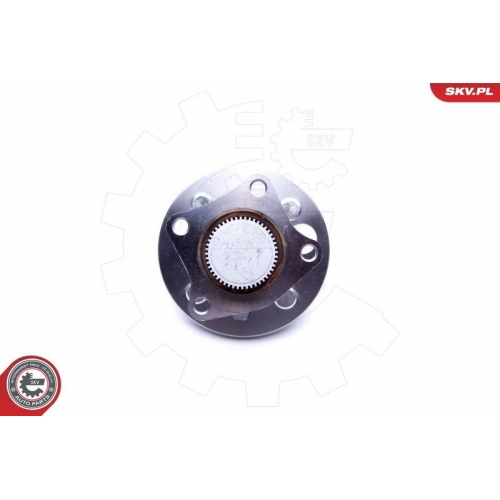 ESEN SKV Radlagersatz