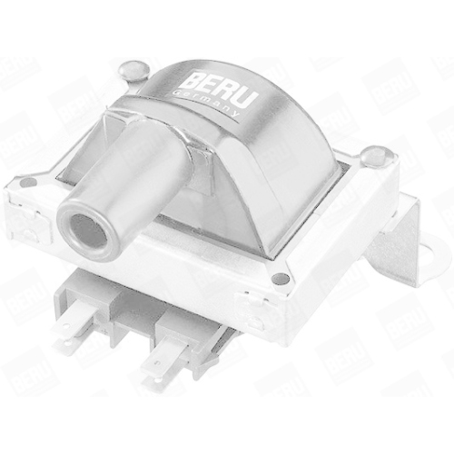 BorgWarner (BERU) Zündspule