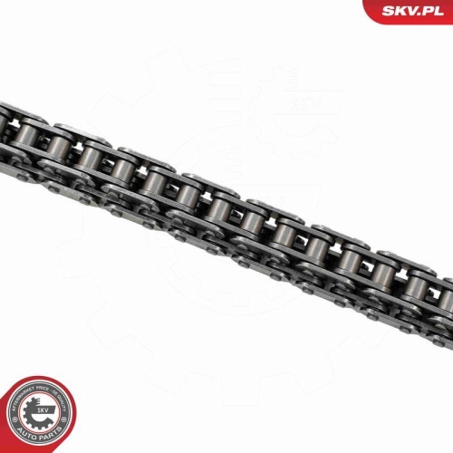 ESEN SKV Steuerkettensatz