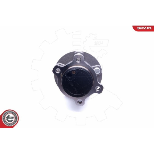 ESEN SKV Radlagersatz