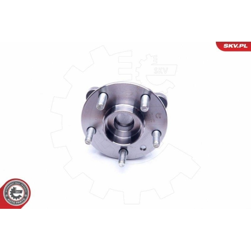 ESEN SKV Radlagersatz