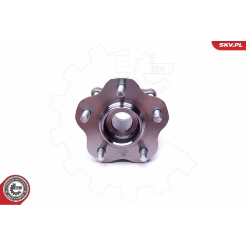 ESEN SKV Radlagersatz