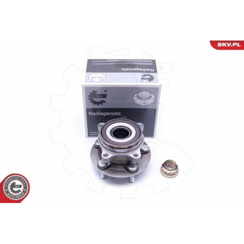 ESEN SKV Radlagersatz