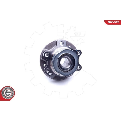 ESEN SKV Radlagersatz