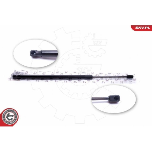 ESEN SKV Gasfeder, Koffer-/Laderaum