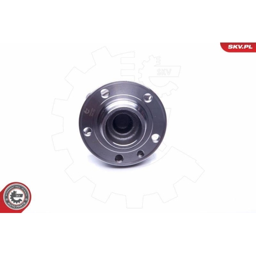 ESEN SKV Radlagersatz