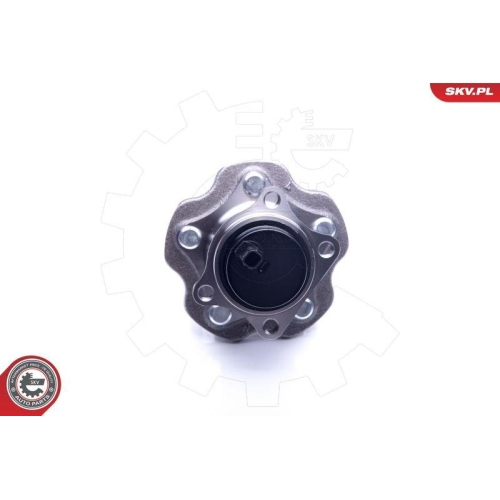 ESEN SKV Radlagersatz