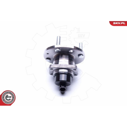 ESEN SKV Radlagersatz