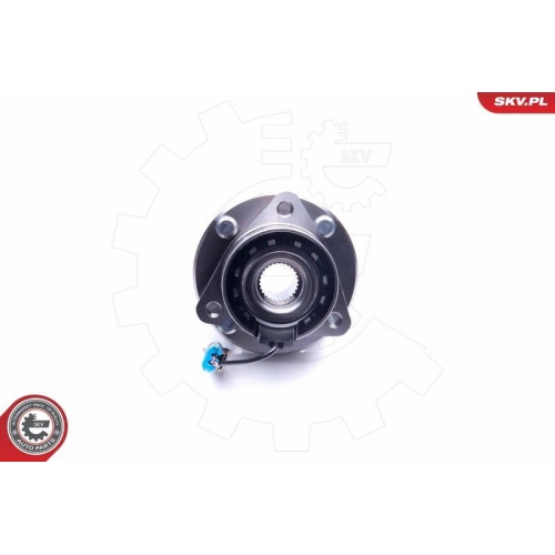 ESEN SKV Radlagersatz