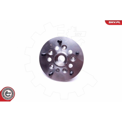 ESEN SKV Radlagersatz