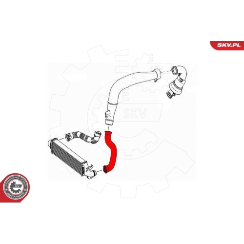 ESEN SKV Ladeluftschlauch