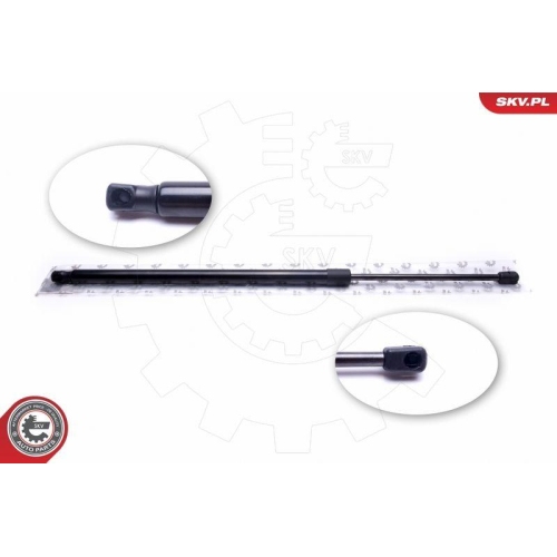 ESEN SKV Gasfeder, Koffer-/Laderaum