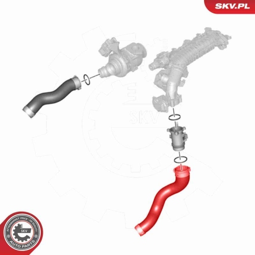 ESEN SKV Ladeluftschlauch