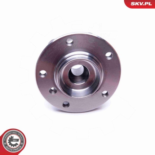 ESEN SKV Radlagersatz