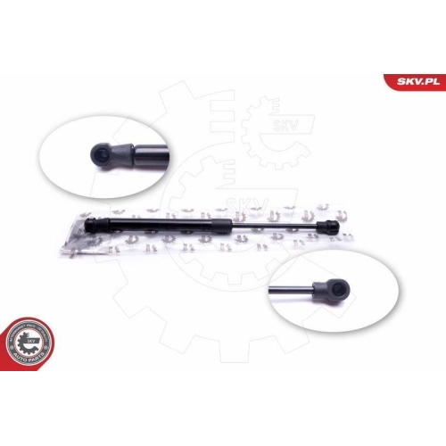 ESEN SKV Gasfeder, Koffer-/Laderaum