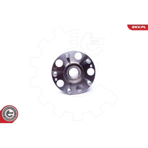 ESEN SKV Radlagersatz