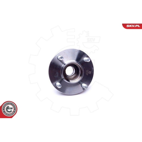 ESEN SKV Radlagersatz