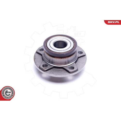 ESEN SKV Radlagersatz