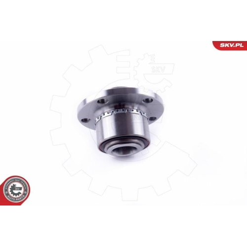 ESEN SKV Radlagersatz