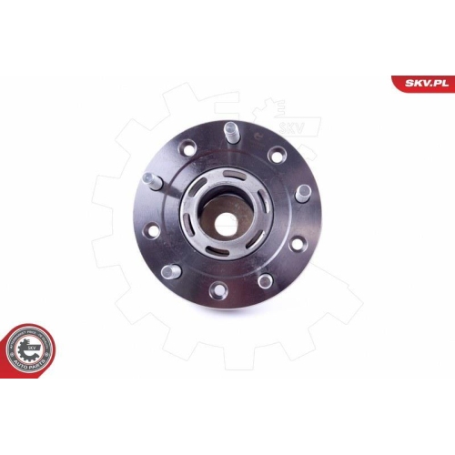 ESEN SKV Radlagersatz