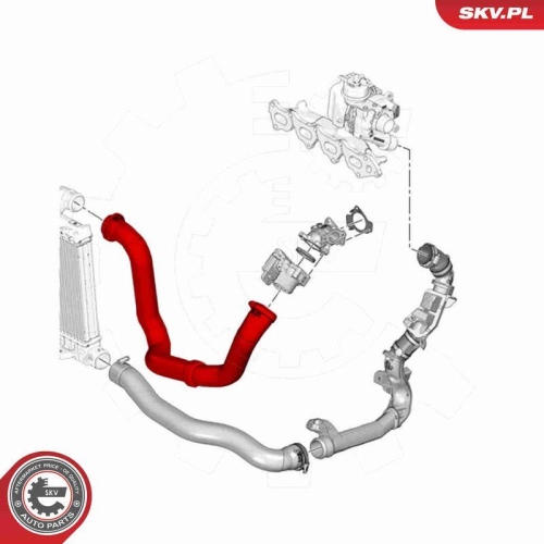 ESEN SKV Ladeluftschlauch