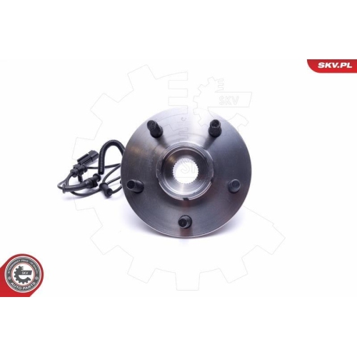 ESEN SKV Radlagersatz