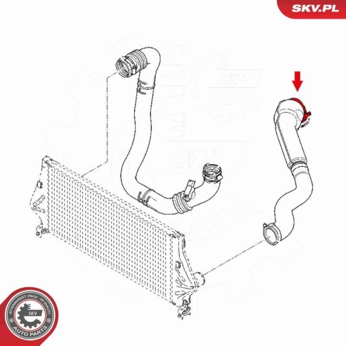 ESEN SKV Ladeluftschlauch