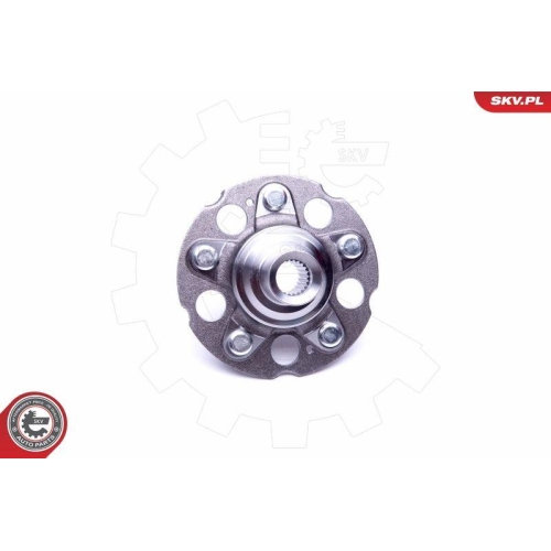 ESEN SKV Radlagersatz