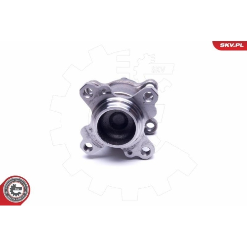ESEN SKV Radlagersatz