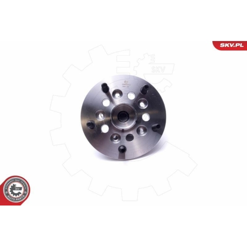 ESEN SKV Radlagersatz