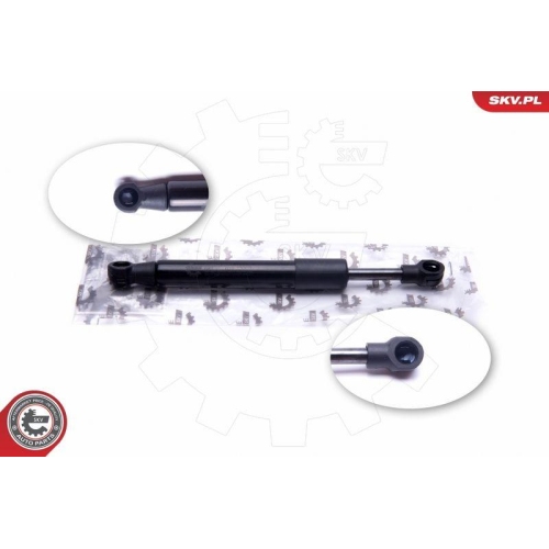 ESEN SKV Gasfeder, Koffer-/Laderaum