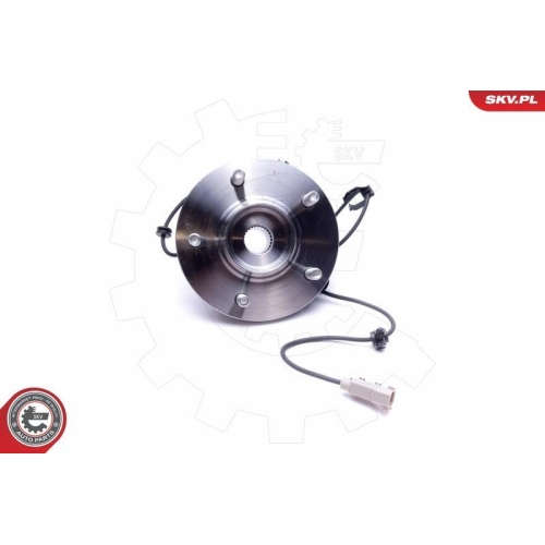 ESEN SKV Radlagersatz