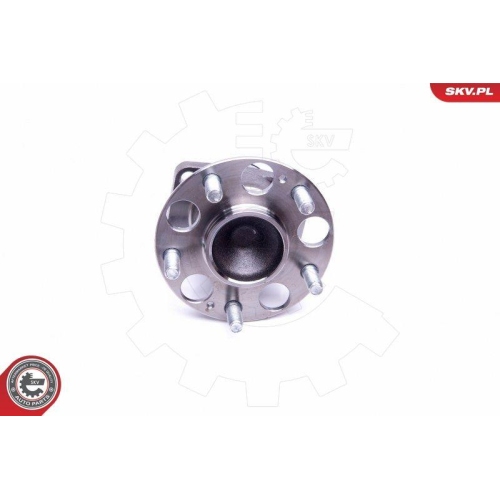 ESEN SKV Radlagersatz