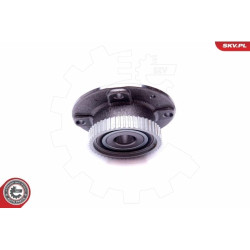 ESEN SKV Radlagersatz