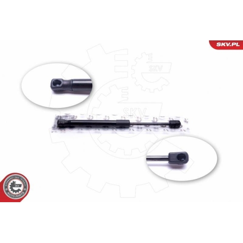 ESEN SKV Gasfeder, Koffer-/Laderaum