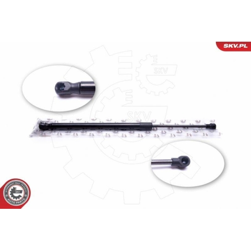 ESEN SKV Gasfeder, Koffer-/Laderaum