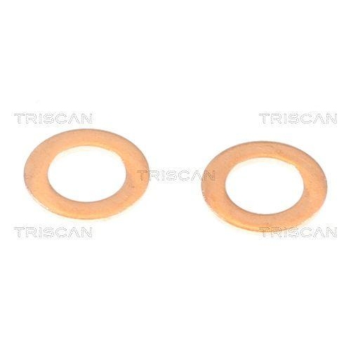 TRISCAN Bremsschlauch