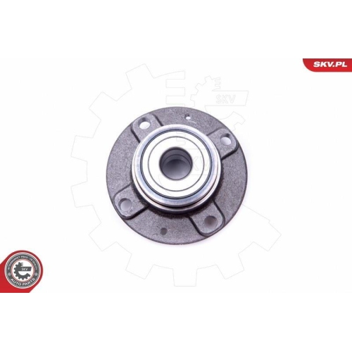 ESEN SKV Radlagersatz