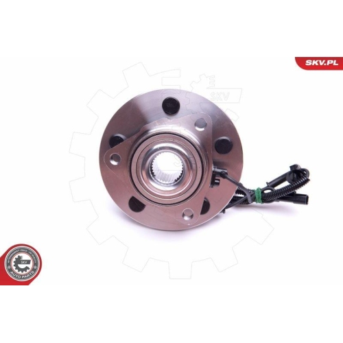ESEN SKV Radlagersatz