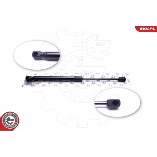 ESEN SKV Gasfeder, Koffer-/Laderaum