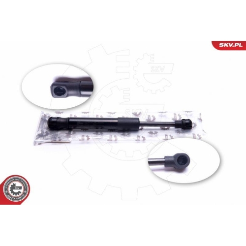 ESEN SKV Gasfeder, Koffer-/Laderaum