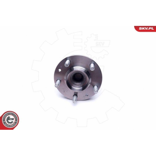 ESEN SKV Radlagersatz