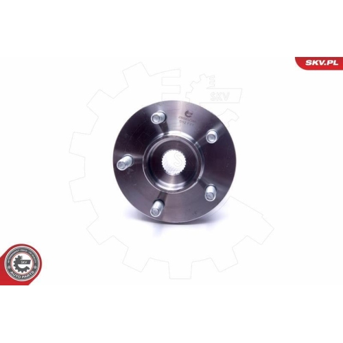 ESEN SKV Radlagersatz