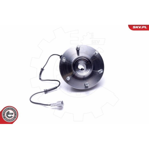 ESEN SKV Radlagersatz