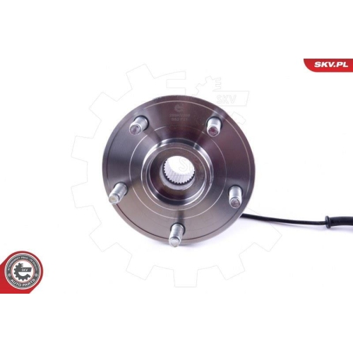 ESEN SKV Radlagersatz