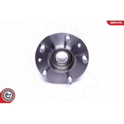 ESEN SKV Radlagersatz