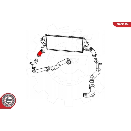 ESEN SKV Ladeluftschlauch