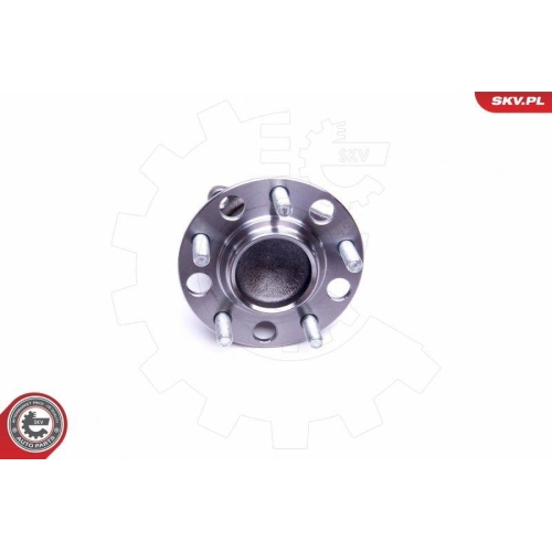 ESEN SKV Radlagersatz